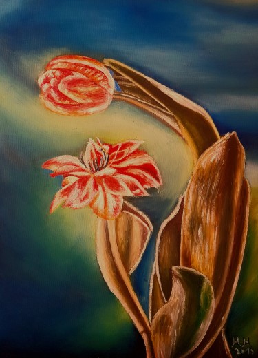 Tulip by Marija Mitrovic