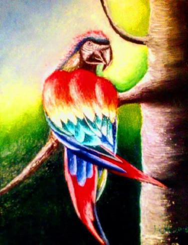 Rainbow parrot by Marija Mitrovic
