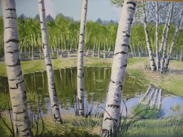 Birch forest