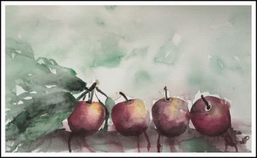 Apples