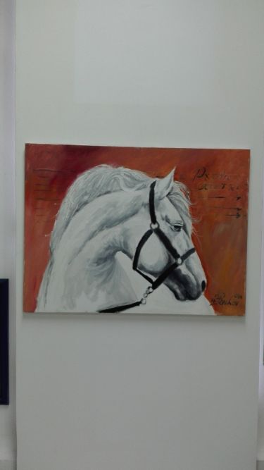 Horse Jolie Jamper,  by Hadzi Milica Zada