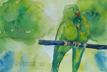 Parrots