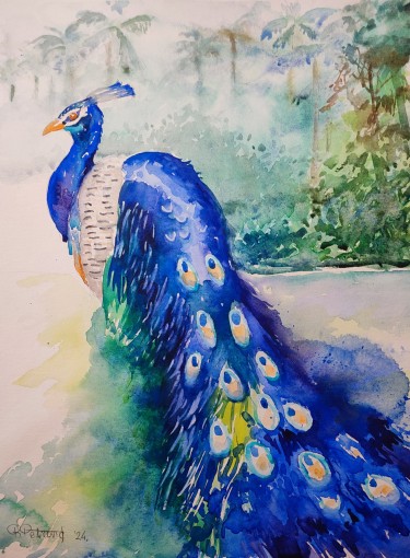 Peacock 8