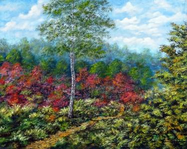 Birch by Milosevic Predrag Pedja
