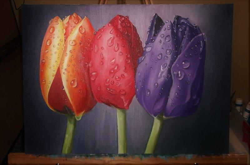 San, Painting Fekete Kormos Kinga