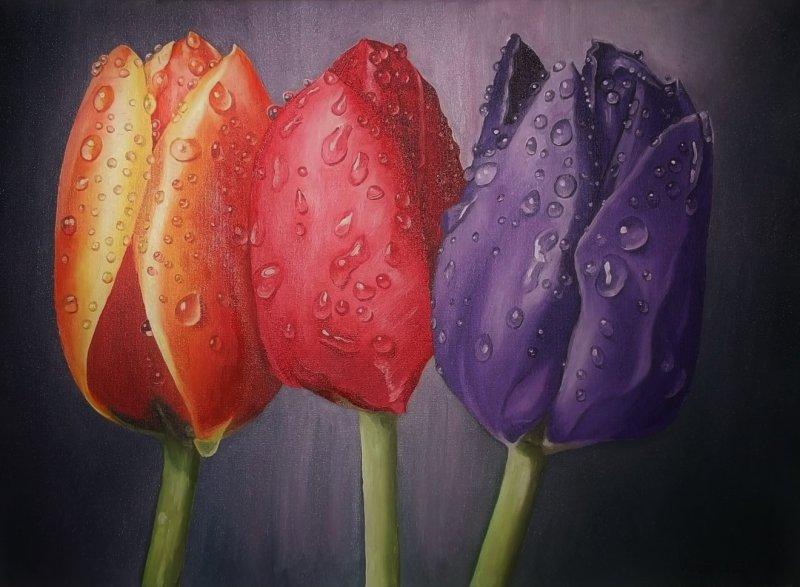 San, Painting Fekete Kormos Kinga