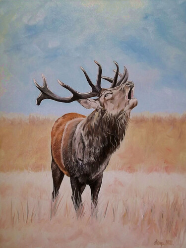 Stag 2