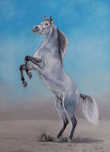 Gray horse