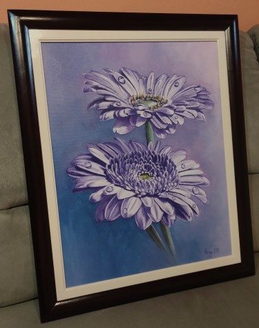 Purple gerberas