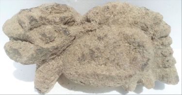 Prehistory - Prehistoric Animal ( Replica )