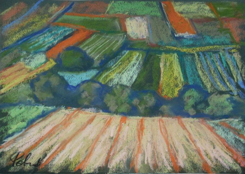 The fields, Painting Petrić Gordan