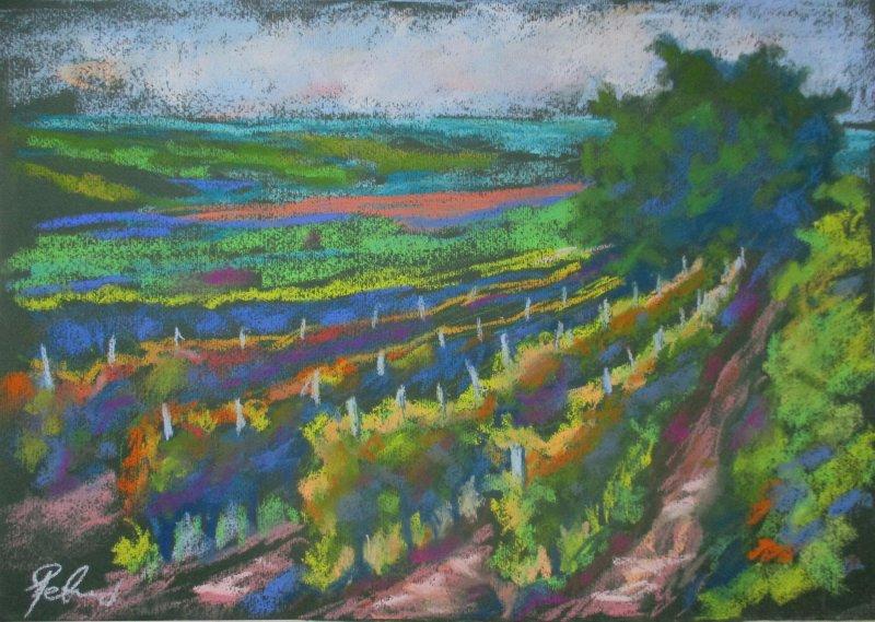 Vineyard, Painting Petrić Gordan