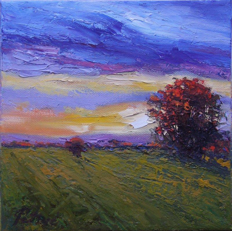 Sunset over the field