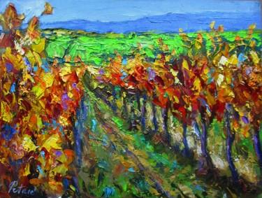 Vineyard in autumn by Petrić Gordan