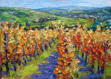 Vineyard in autumn