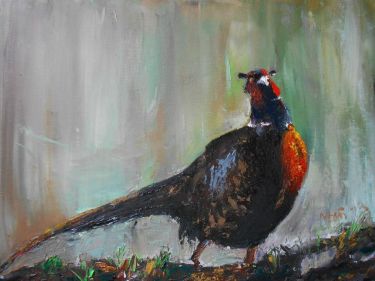 Pheasant