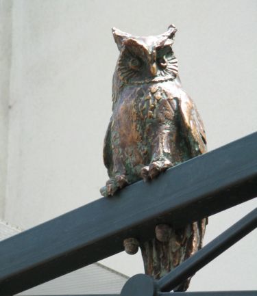 owl,  by Šeter Igor