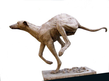 Greyhound 1-Jump by Šeter Igor