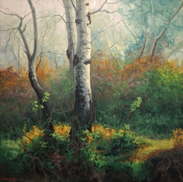 Birches by Zeljko Ivanovic