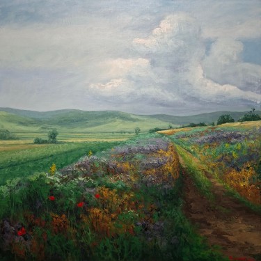 Lavender field by Zeljko Ivanovic