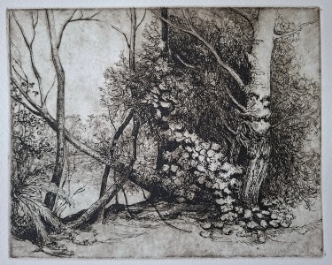 Landscape by Zeljko Ivanovic