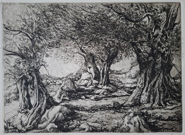 Olives by Zeljko Ivanovic