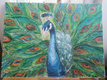 Peacock