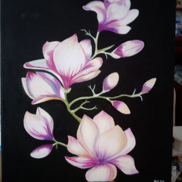 Magnolija by Stevanović Rada