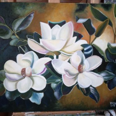 Magnolija by Stevanović Rada