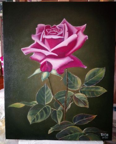 rose,  by Stevanović Rada