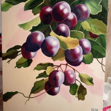 Plum,  by Stevanović Rada
