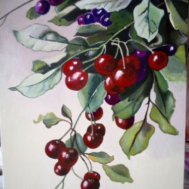 cherry,  by Stevanović Rada