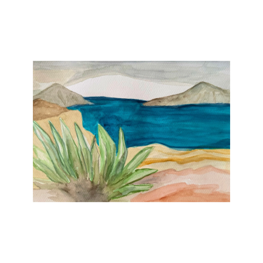 The Mediterranean The Agaves