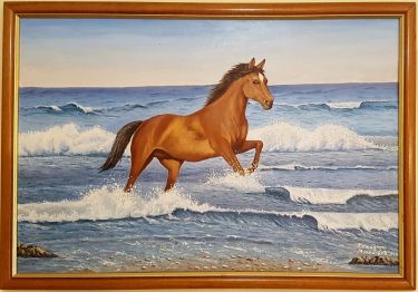 Konj na plaži