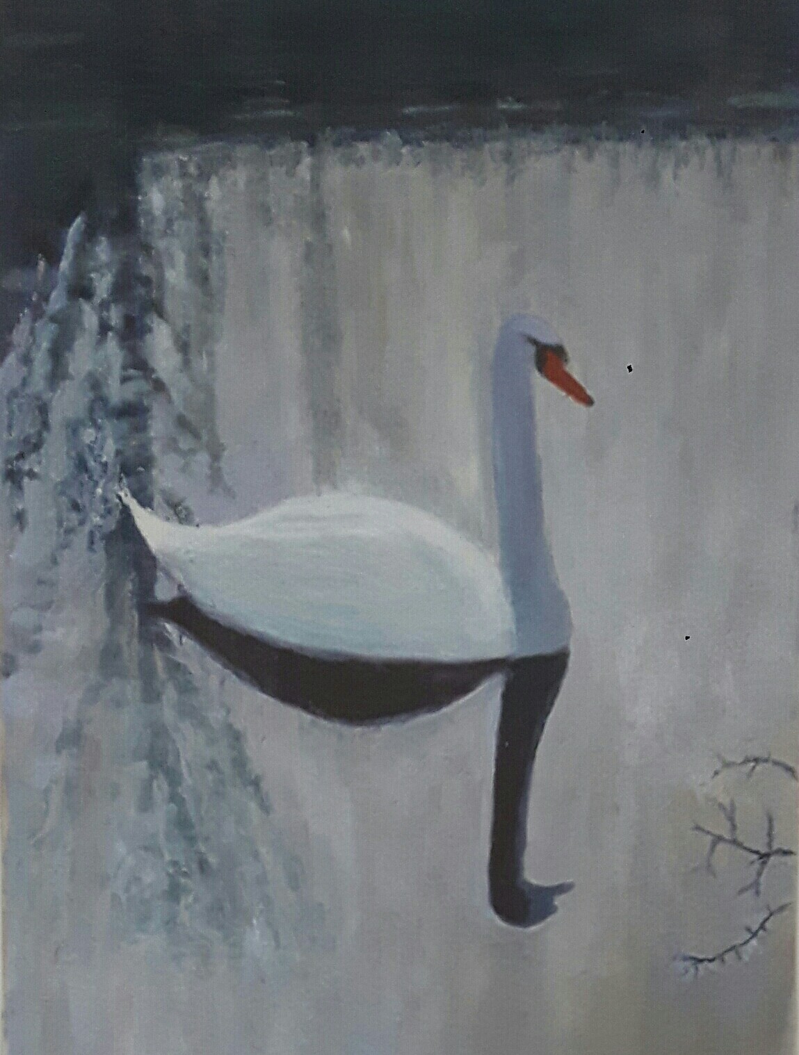 Swan