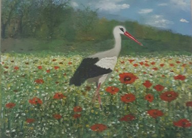 Stork in the meadow by Markovic Branka
