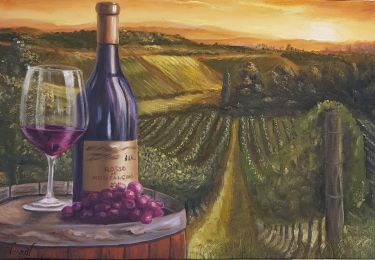 Wine, vineyard and sunset by Vujinovic Vesna
