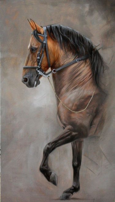 Konj | Ulje na platnu | 70x50 cm by Klipa Goran