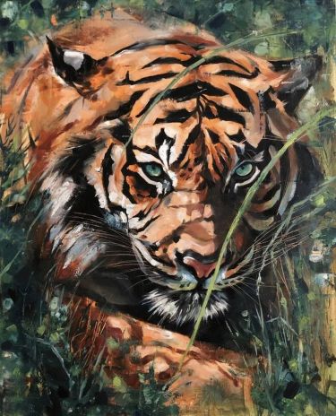 Tigar - ulje na platnu by Klipa Goran