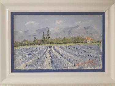 The lavander field,  by Filipovic Nenad
