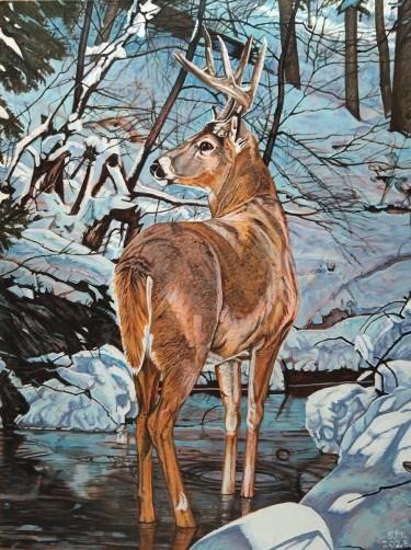 Deer in the snow by Milutinovic Bojan