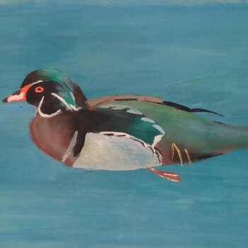 A DUCK,  by Kostic Jovica