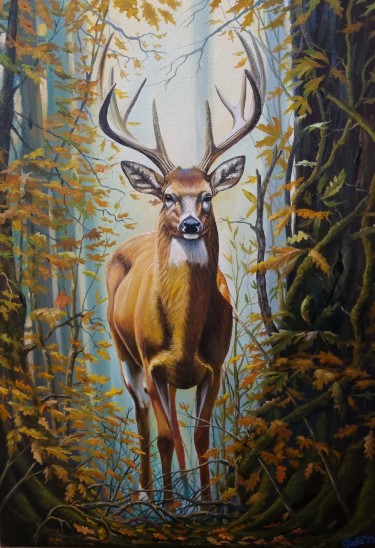 deer by MILOVANOVIC PEDJA