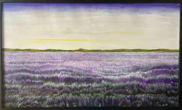 Lavender fields 2