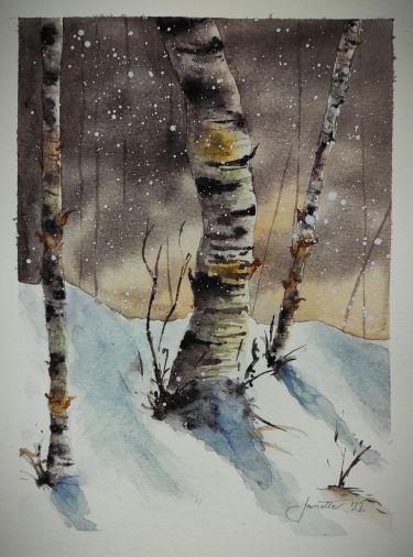 Winter Forest Twilight by Godnič Bakoš Žanet
