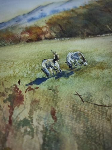 Grazing Horses