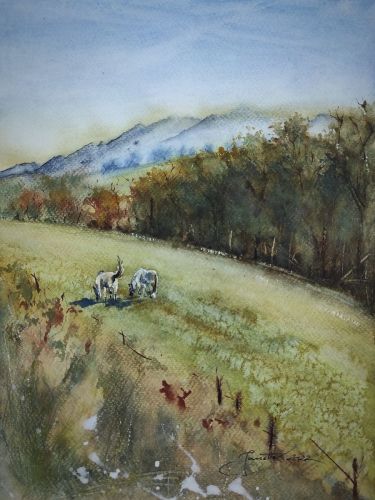 Grazing Horses,  by Godnič Bakoš Žanet