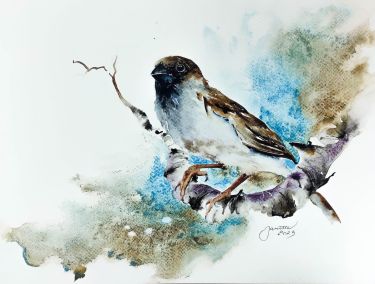 Sparrow,  by Godnič Bakoš Žanet