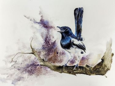 Chattering (Magpie),  by Godnič Bakoš Žanet