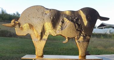Bull by Simovic Jovan